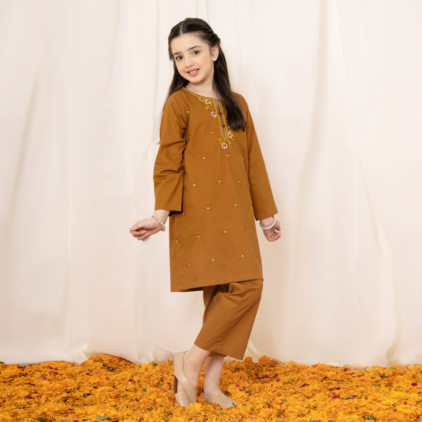 Brown Embroidered Girls Co-Ord Set