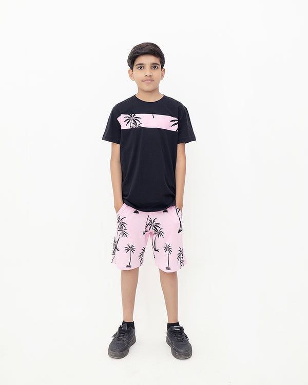 Beach Boys Set