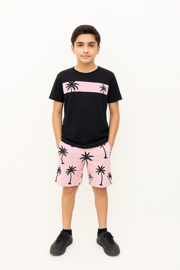 Beach Boys Set